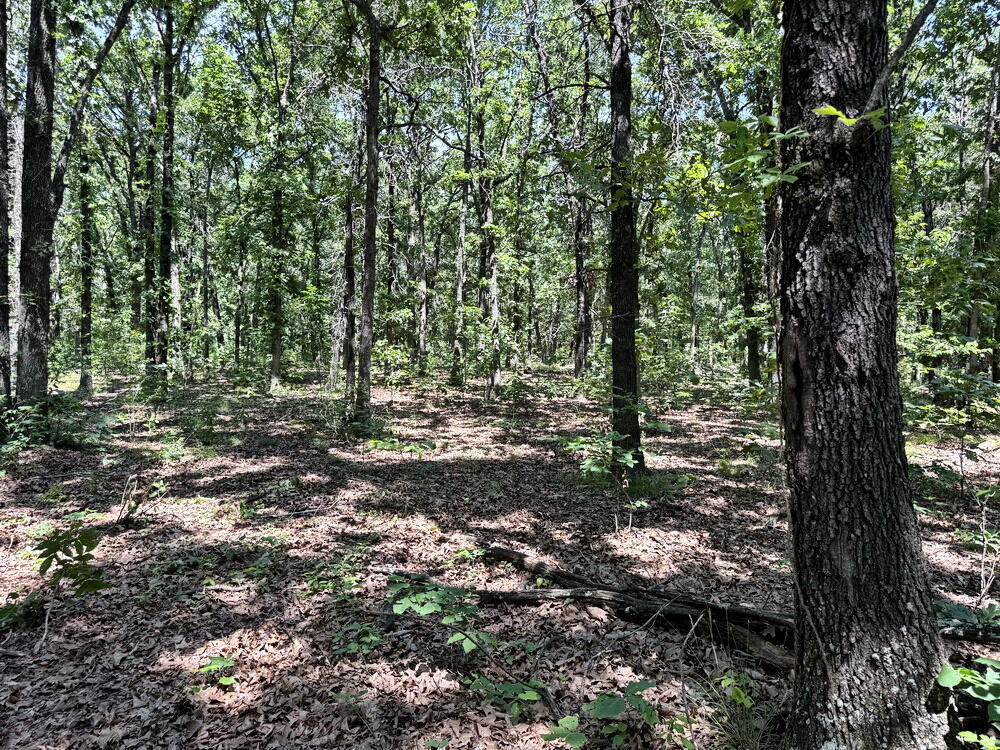 Photo 31 - Land for sale – Tbd3 E 1550 Road  Jerico Springs, MO