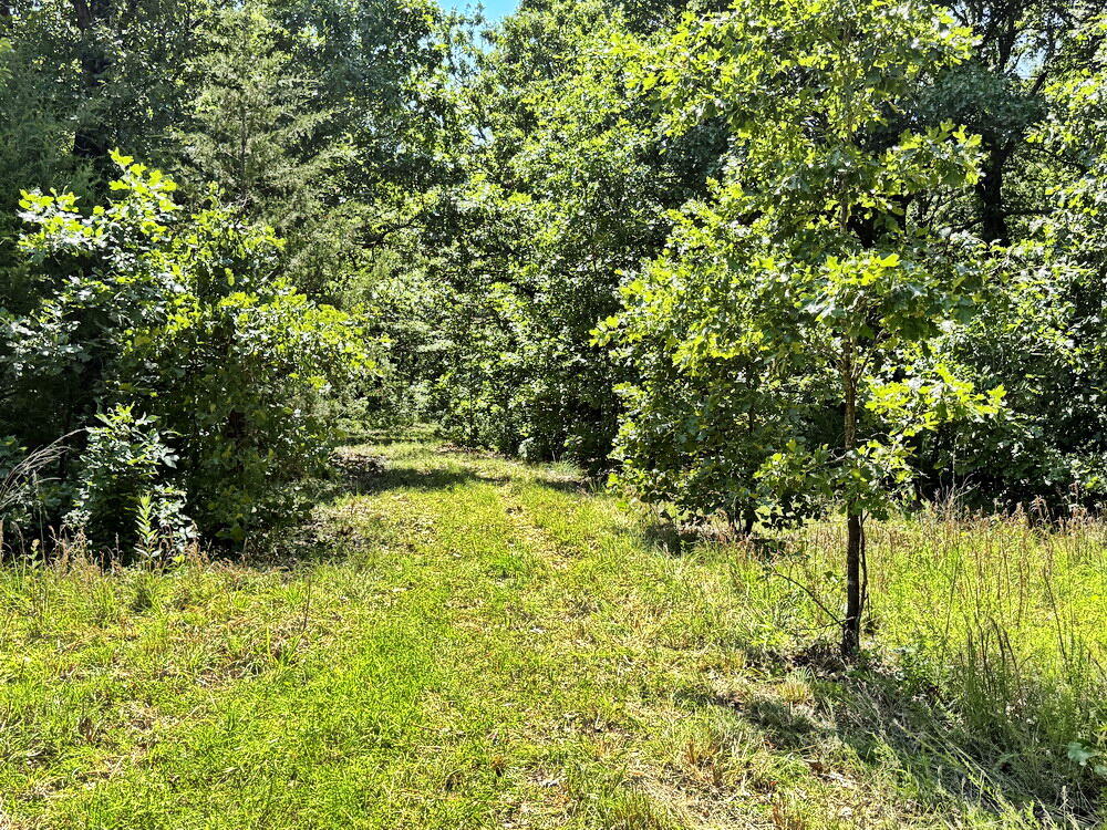 Photo 36 - Land for sale – Tbd3 E 1550 Road  Jerico Springs, MO