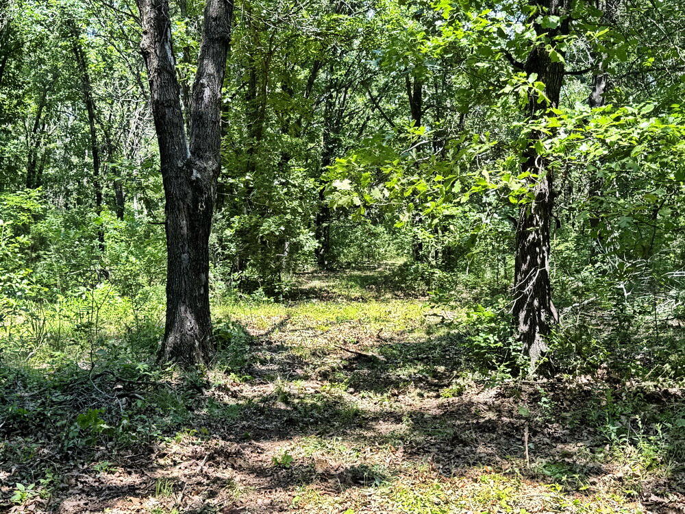 Photo 24 - Land for sale – Tbd3 E 1550 Road  Jerico Springs, MO