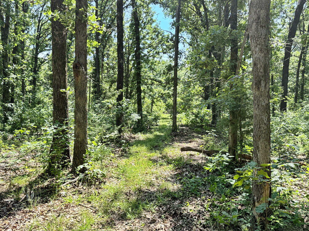 Photo 35 - Land for sale – Tbd3 E 1550 Road  Jerico Springs, MO