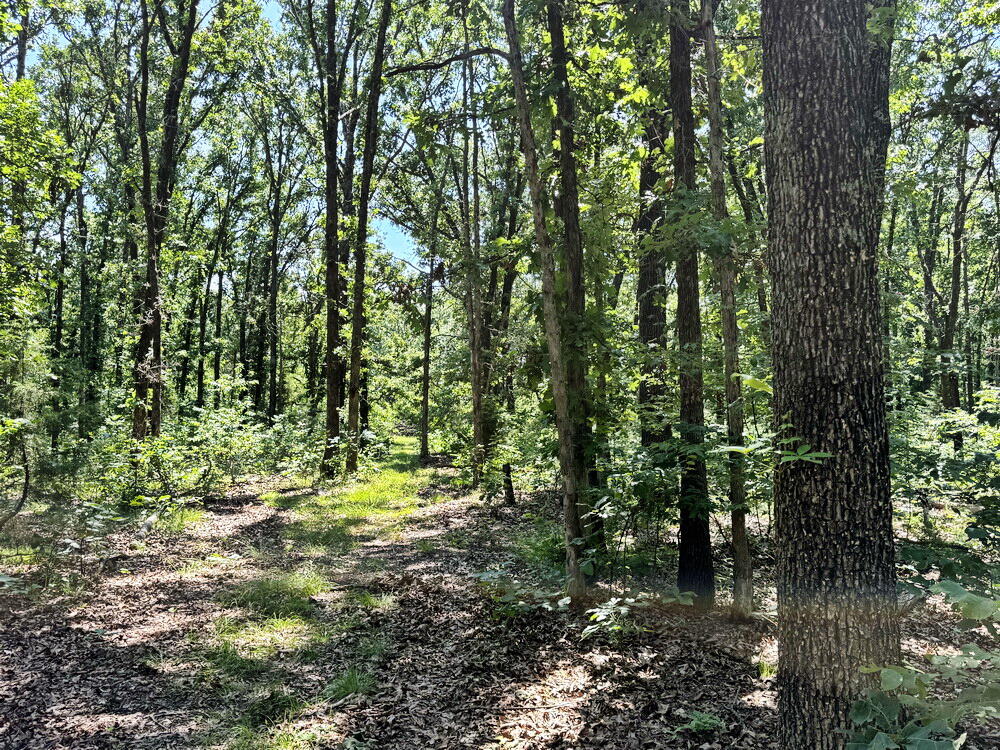 Photo 34 - Land for sale – Tbd3 E 1550 Road  Jerico Springs, MO