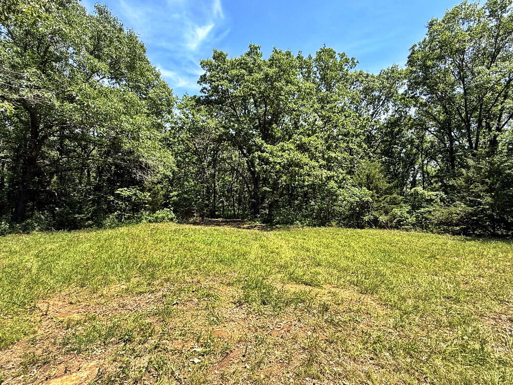 Photo 19 - Land for sale – Tbd3 E 1550 Road  Jerico Springs, MO