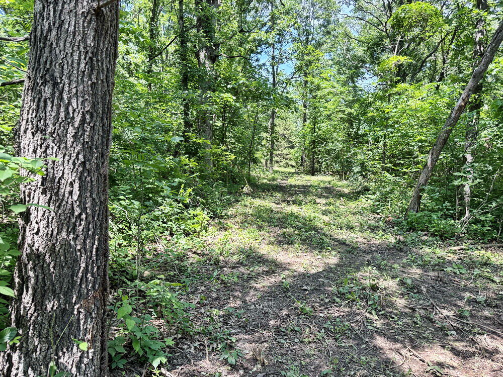 Photo 11 - Land for sale – Tbd3 E 1550 Road  Jerico Springs, MO