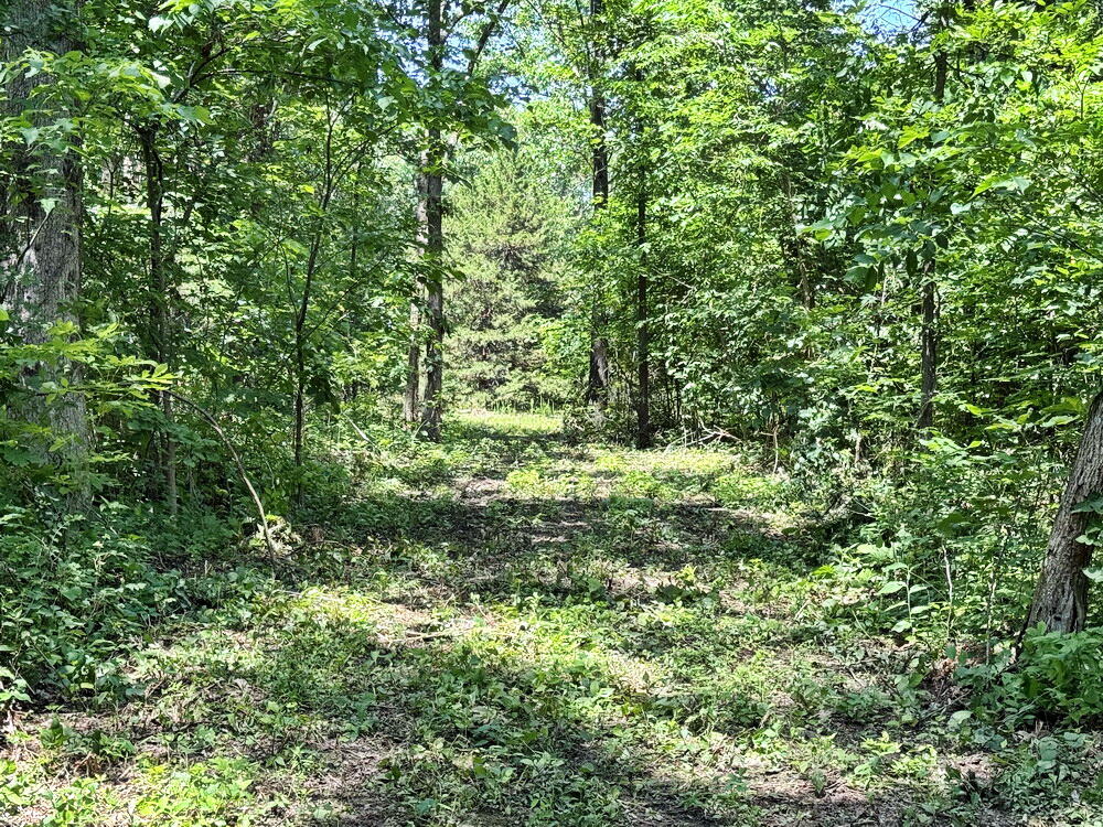 Photo 12 - Land for sale – Tbd3 E 1550 Road  Jerico Springs, MO