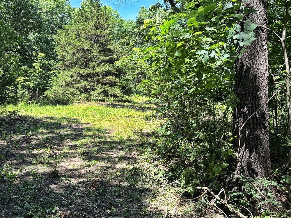 Photo 14 - Land for sale – Tbd3 E 1550 Road  Jerico Springs, MO