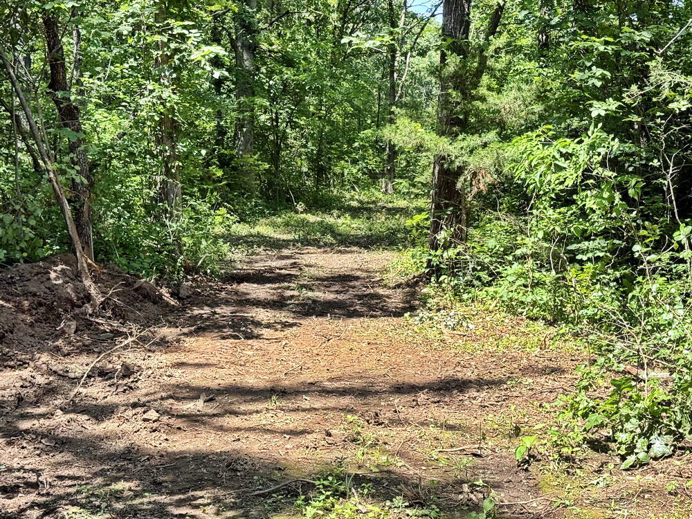 Photo 10 - Land for sale – Tbd3 E 1550 Road  Jerico Springs, MO