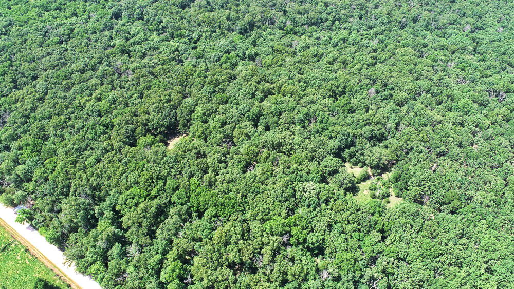 Photo 41 - Land for sale – Tbd3 E 1550 Road  Jerico Springs, MO