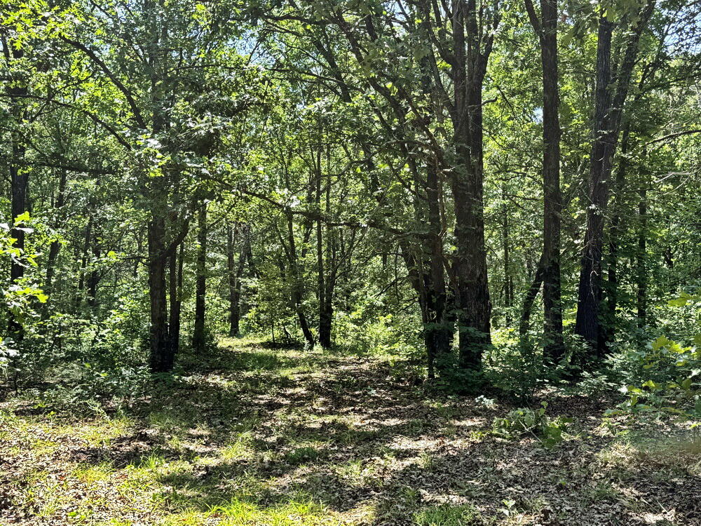 Photo 27 - Land for sale – Tbd3 E 1550 Road  Jerico Springs, MO