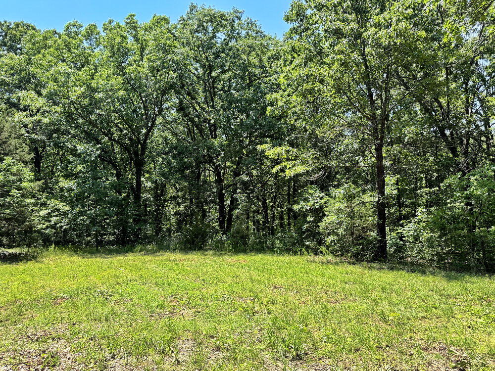 Photo 23 - Land for sale – Tbd3 E 1550 Road  Jerico Springs, MO