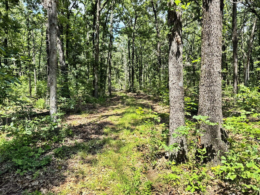 Photo 30 - Land for sale – Tbd3 E 1550 Road  Jerico Springs, MO