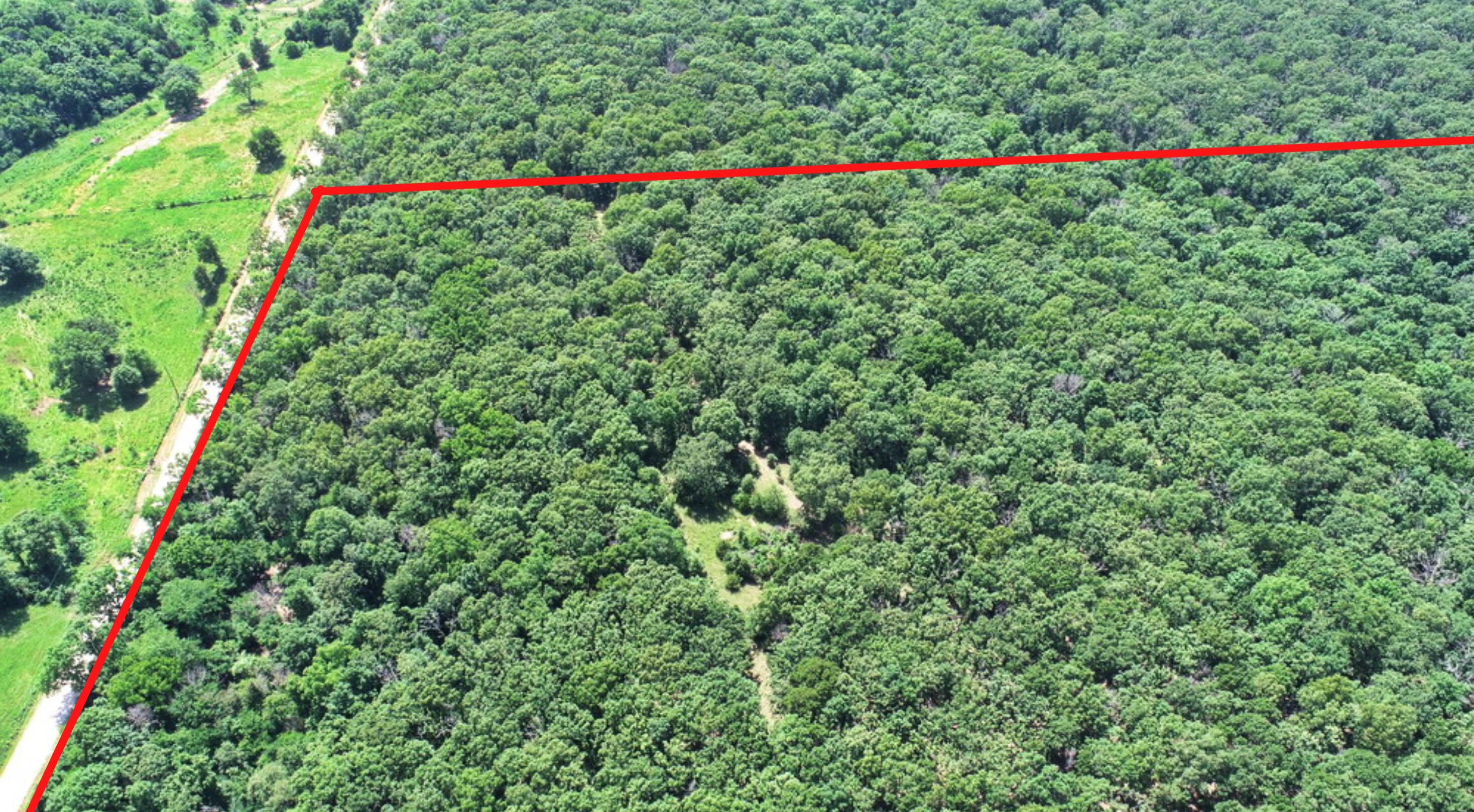 Photo 4 - Land for sale – Tbd3 E 1550 Road  Jerico Springs, MO