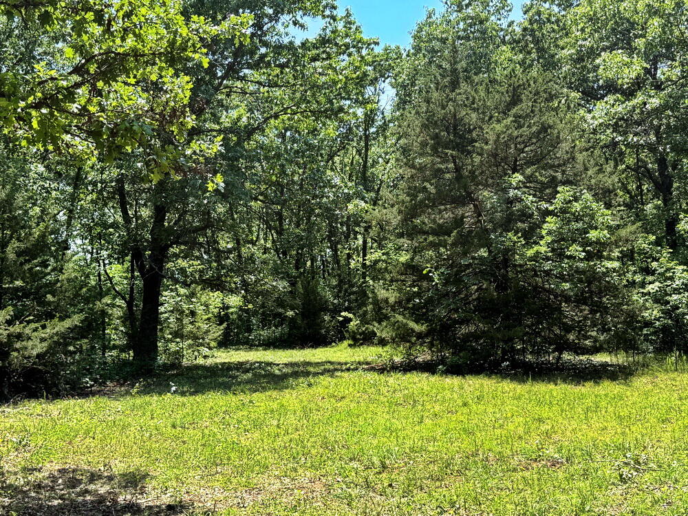 Photo 22 - Land for sale – Tbd3 E 1550 Road  Jerico Springs, MO