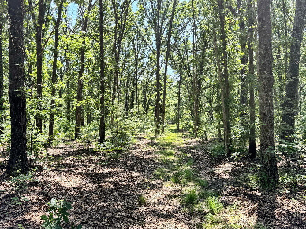 Photo 33 - Land for sale – Tbd3 E 1550 Road  Jerico Springs, MO