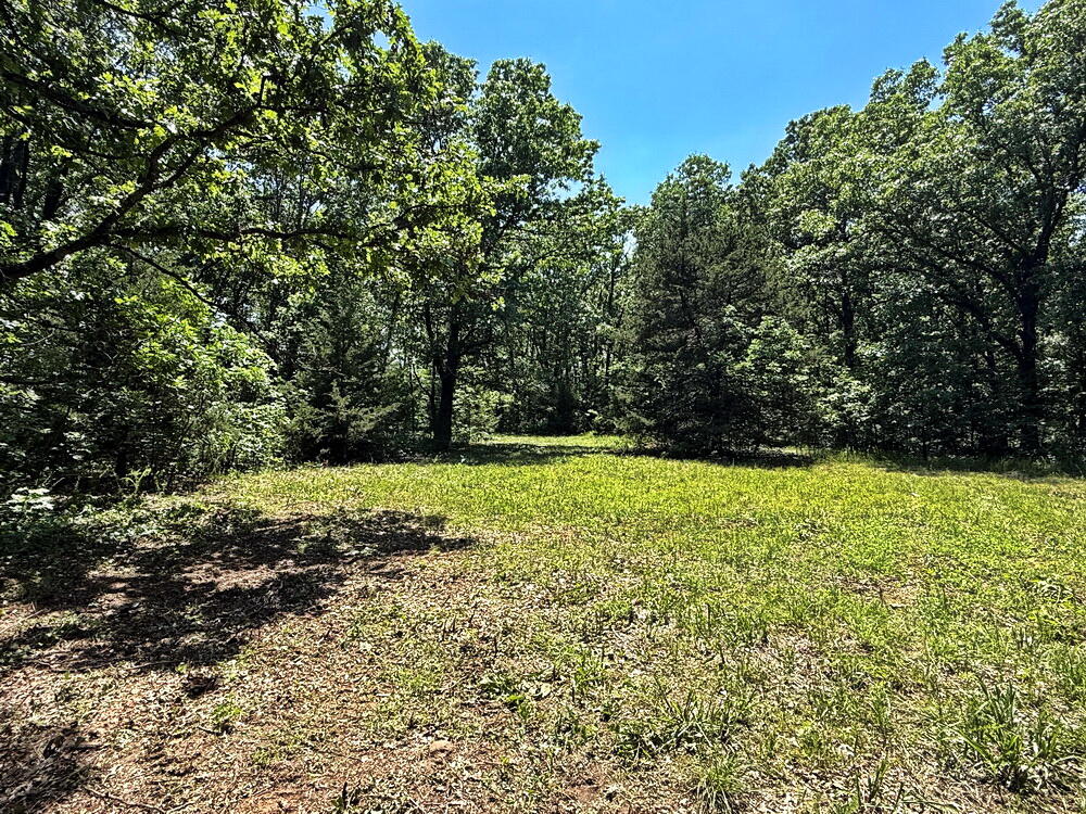 Photo 21 - Land for sale – Tbd3 E 1550 Road  Jerico Springs, MO
