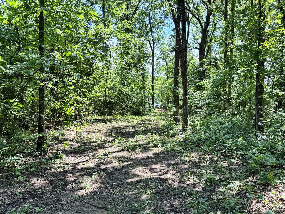 Photo 37 - Land for sale – Tbd3 E 1550 Road  Jerico Springs, MO