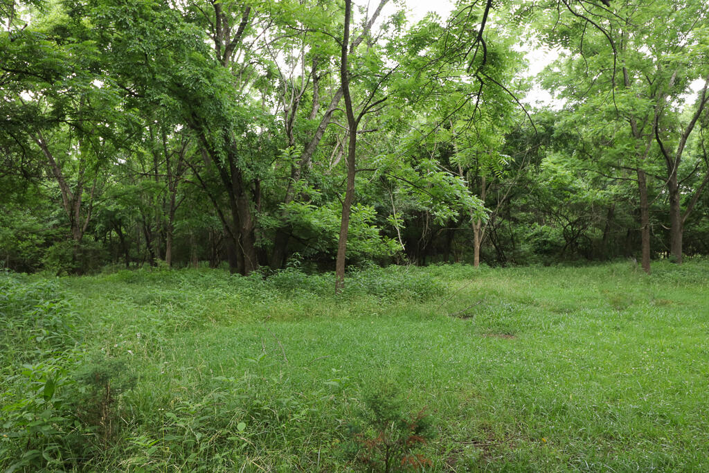 Photo 24 - Land for sale – 000 E Valley Water Mill Road  Springfield, MO