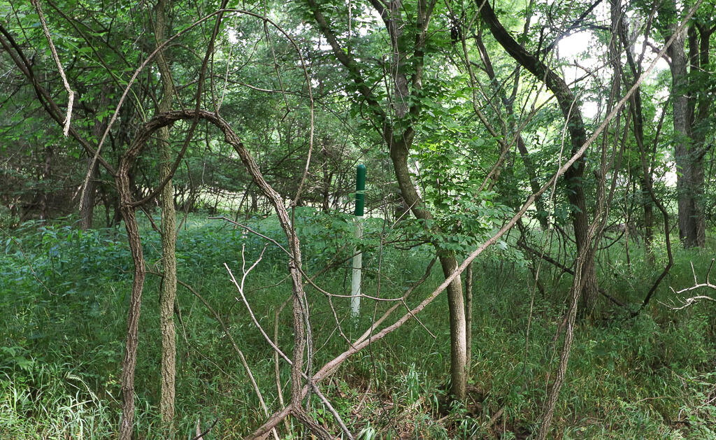 Photo 20 - Land for sale – 000 E Valley Water Mill Road  Springfield, MO