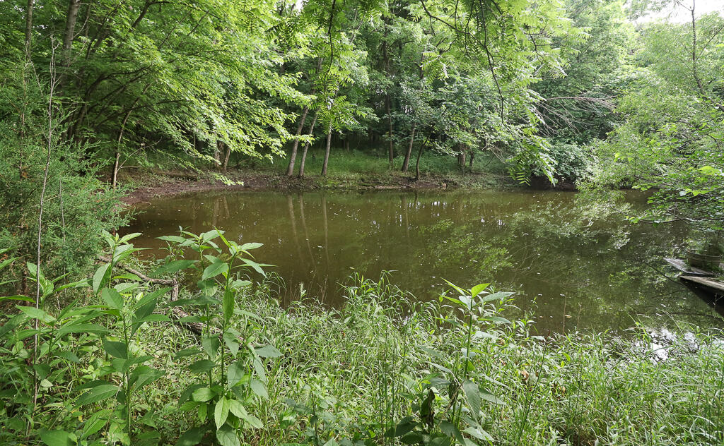 Photo 29 - Land for sale – 000 E Valley Water Mill Road  Springfield, MO