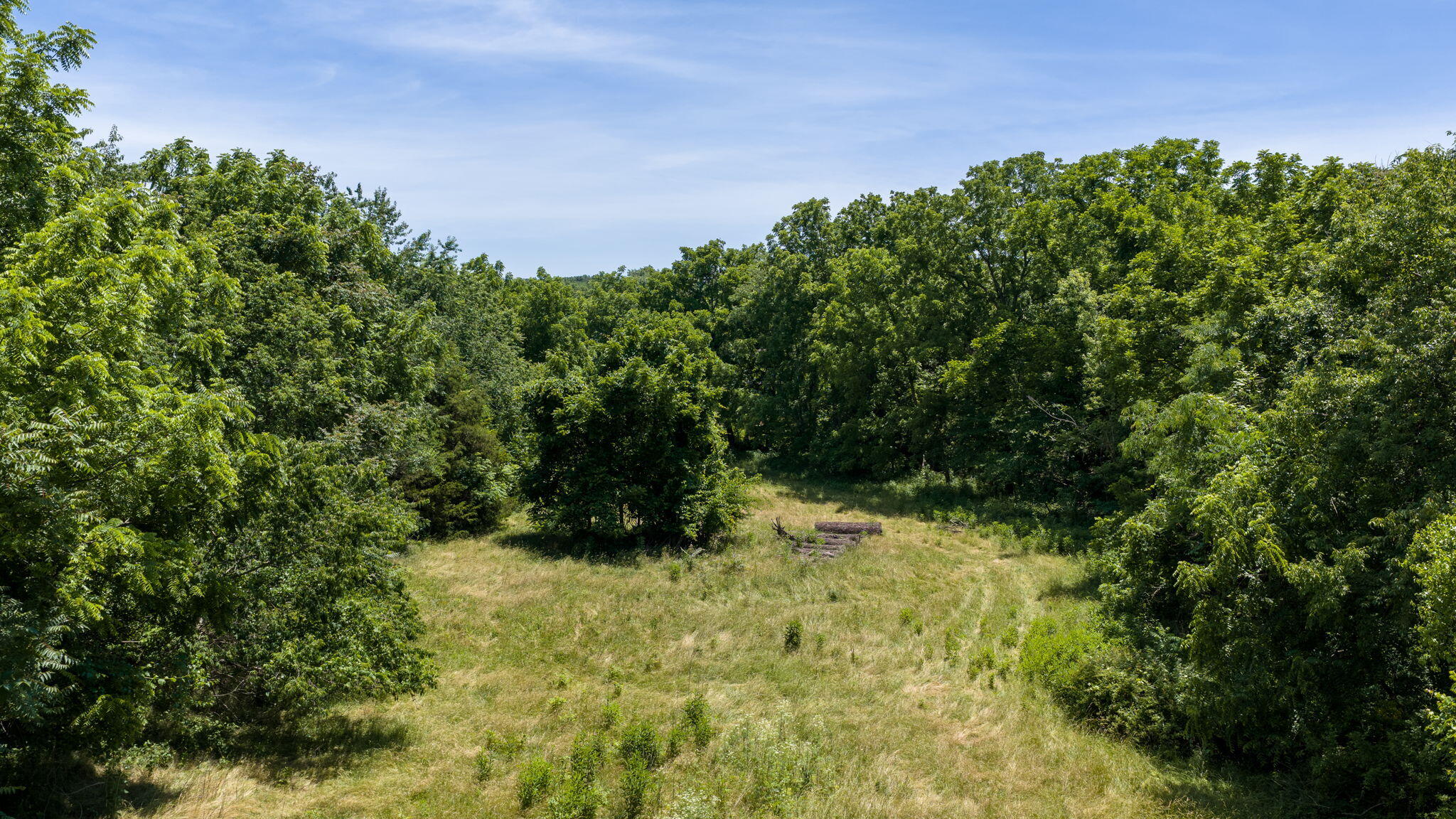 Photo 14 - Land for sale – 000 E Valley Water Mill Road  Springfield, MO