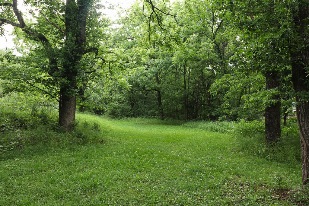 Photo 25 - Land for sale – 000 E Valley Water Mill Road  Springfield, MO