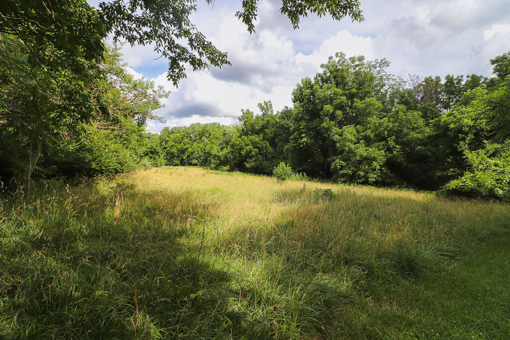 Photo 22 - Land for sale – 000 E Valley Water Mill Road  Springfield, MO