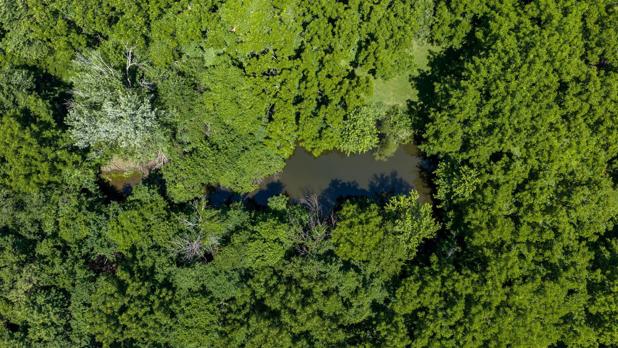Photo 15 - Land for sale – 000 E Valley Water Mill Road  Springfield, MO