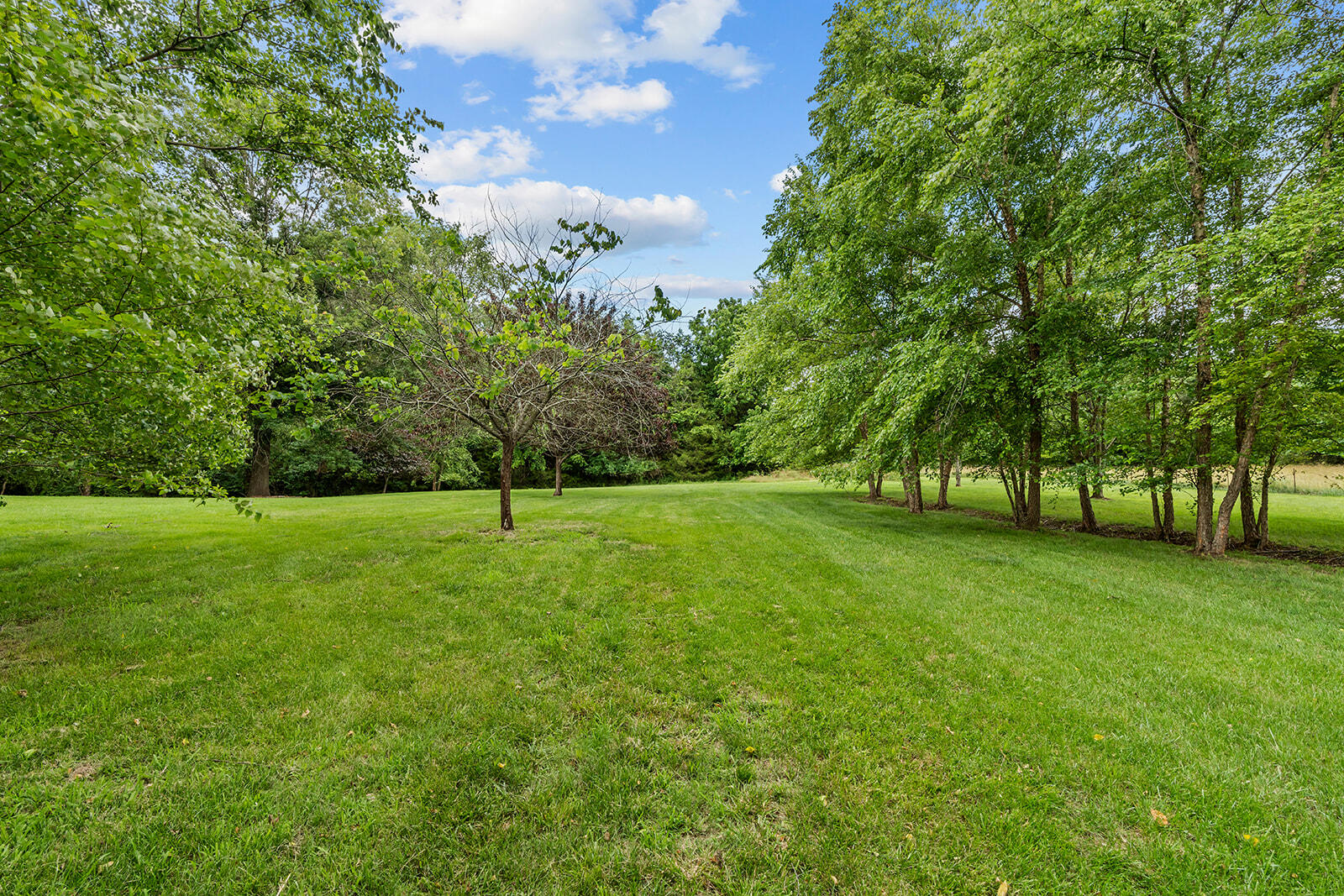 Photo 44 - Residential for sale – 3248 S Farm Road 203   Springfield, MO