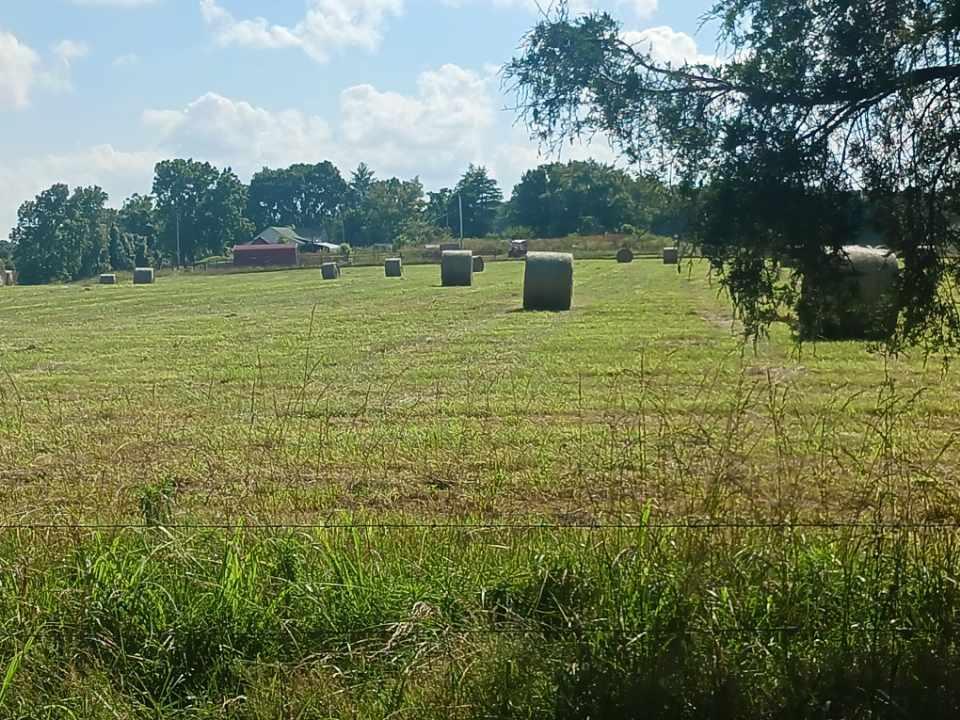 Photo 58 - Farm for sale – 15221  Cleveland Road  Houston, MO