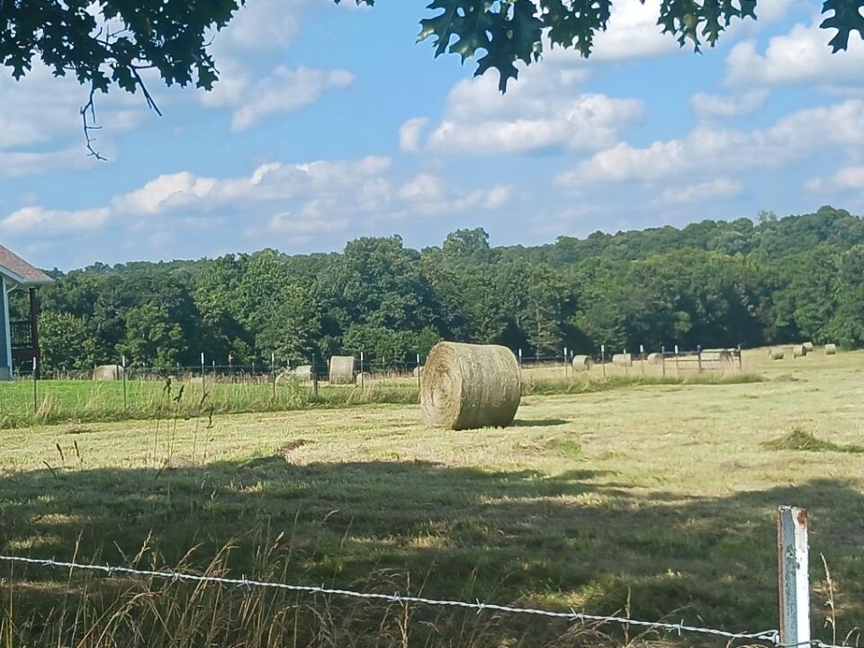 Photo 59 - Farm for sale – 15221  Cleveland Road  Houston, MO