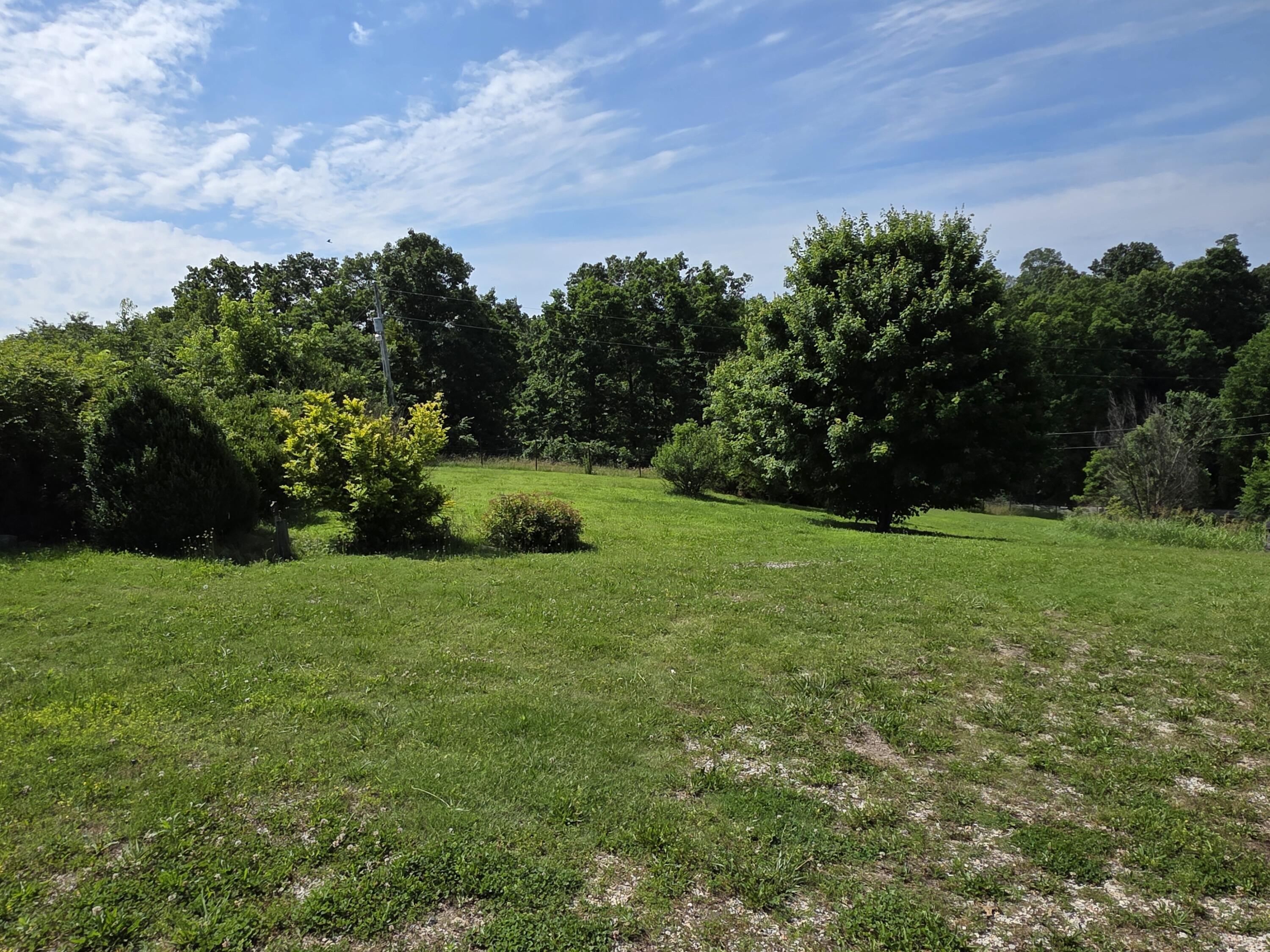 Photo 6 - Land for sale – 16686  Spruce Drive  Neosho, MO
