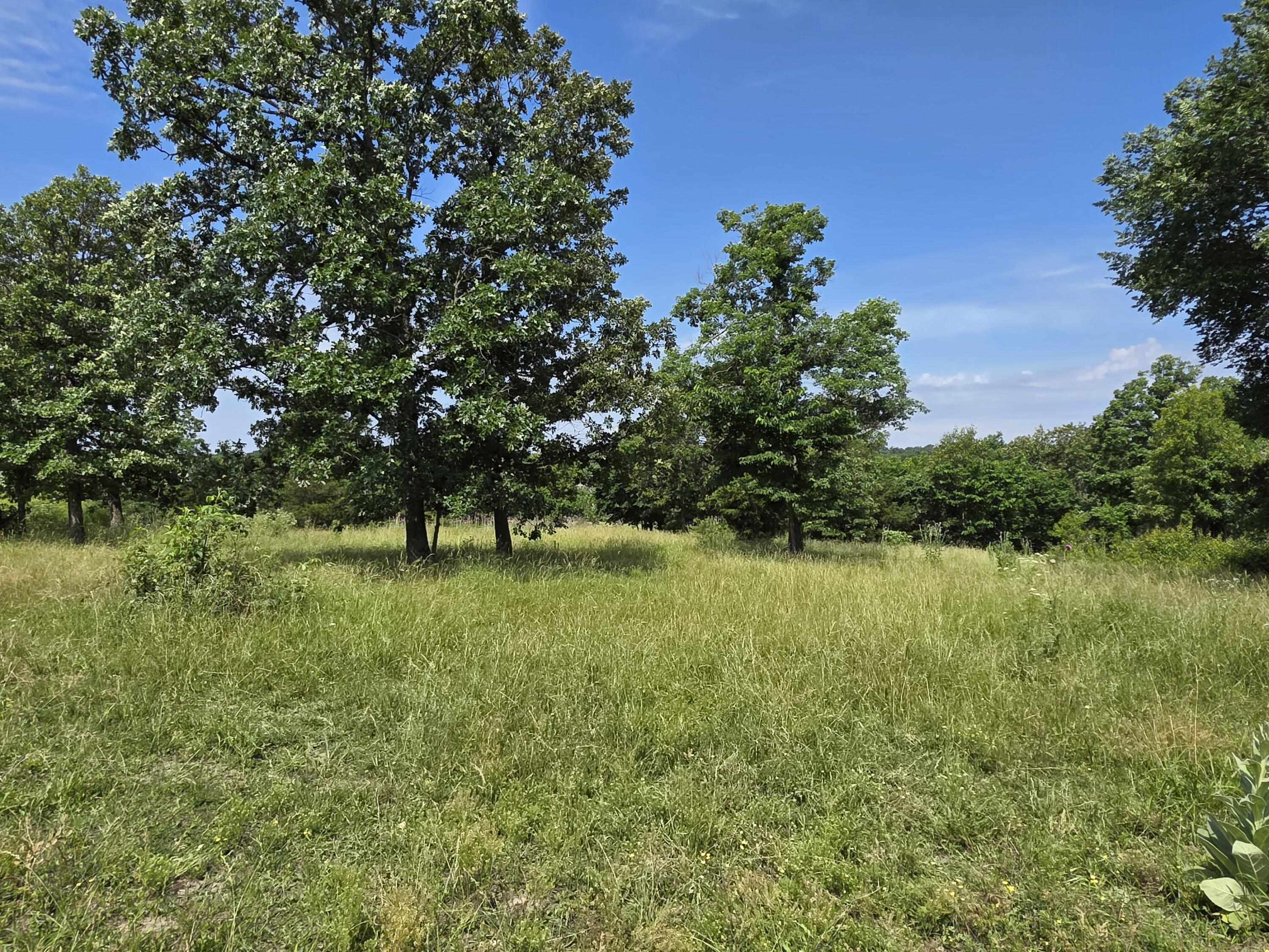 Photo 3 - Land for sale – 16686  Spruce Drive  Neosho, MO