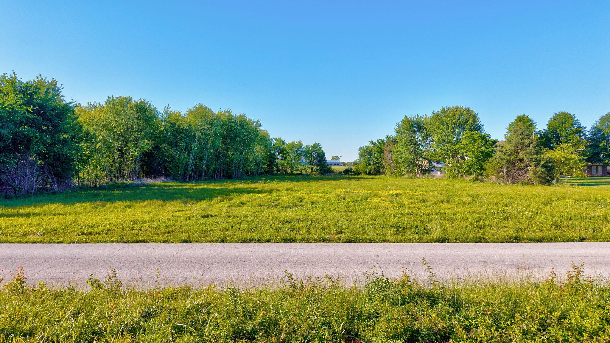Photo 15 - Commercial Sale for sale – 000  Redbud Street  Rogersville, MO