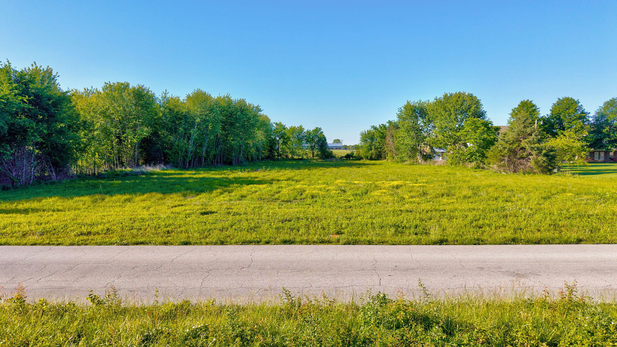 Photo 16 - Commercial Sale for sale – 000  Redbud Street  Rogersville, MO
