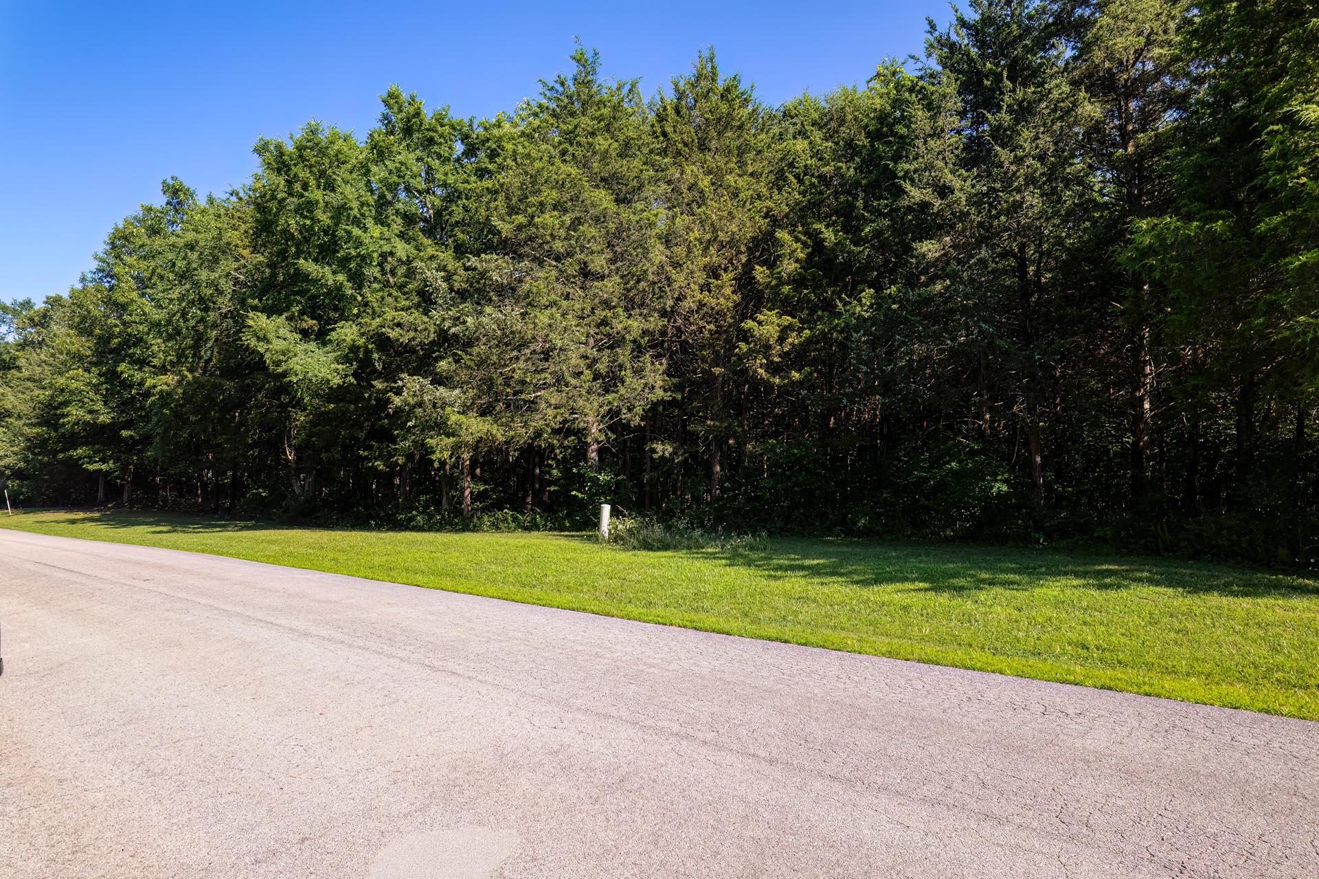 Photo 3 - Land for sale – 000  Green Cypress/ Eagle Pt Lt 87 Lane  Shell Knob, MO