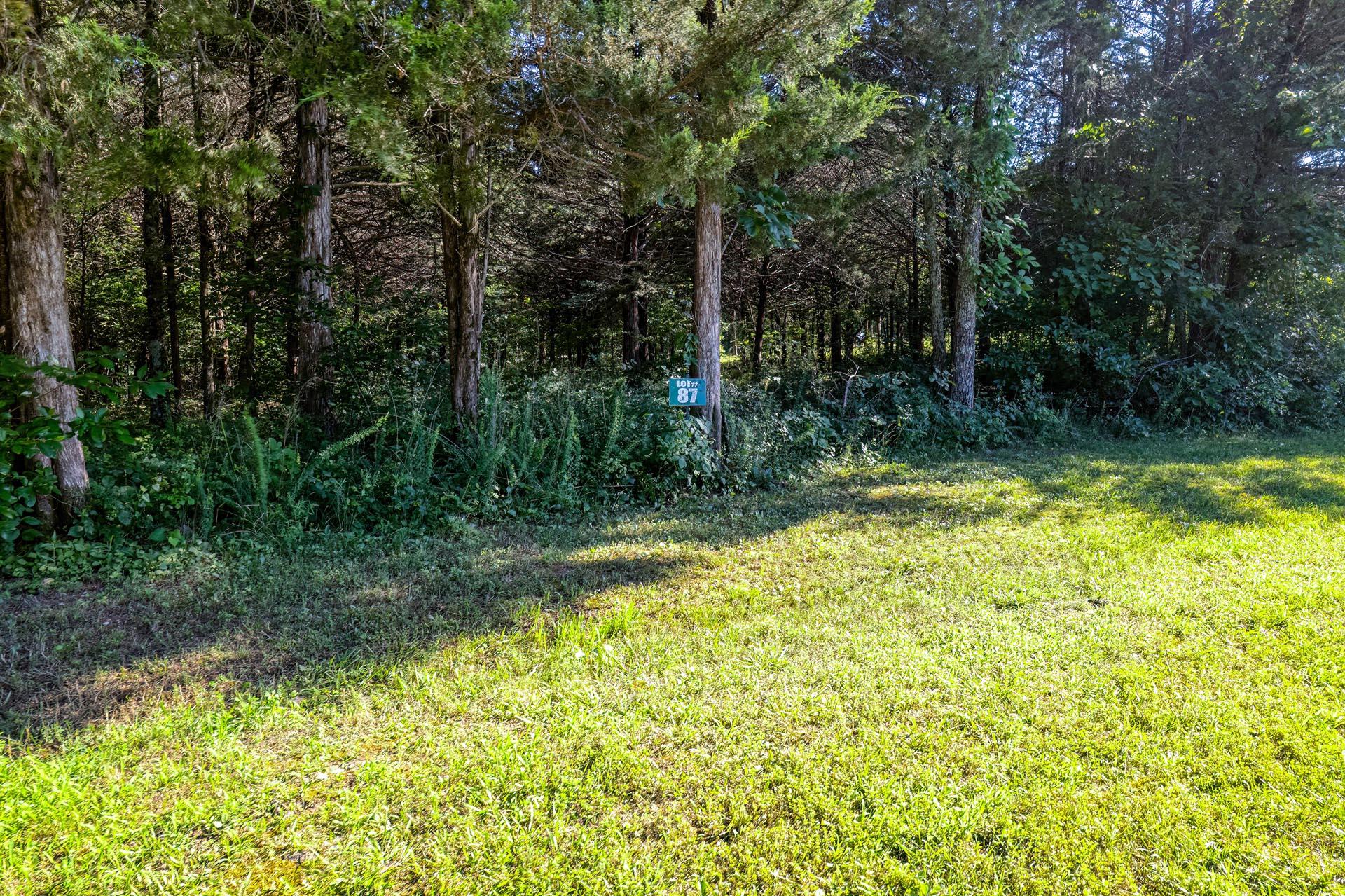 Photo 4 - Land for sale – 000  Green Cypress/ Eagle Pt Lt 87 Lane  Shell Knob, MO