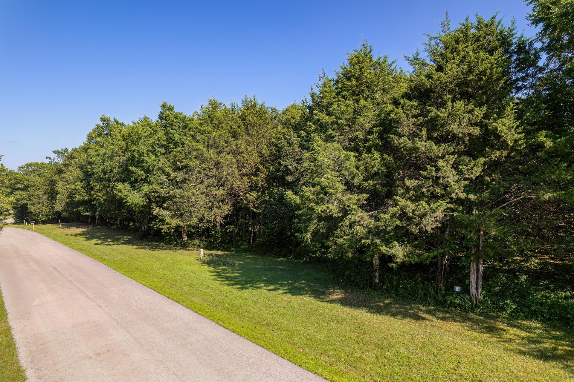 Photo 6 - Land for sale – 000  Green Cypress/ Eagle Pt Lt 87 Lane  Shell Knob, MO