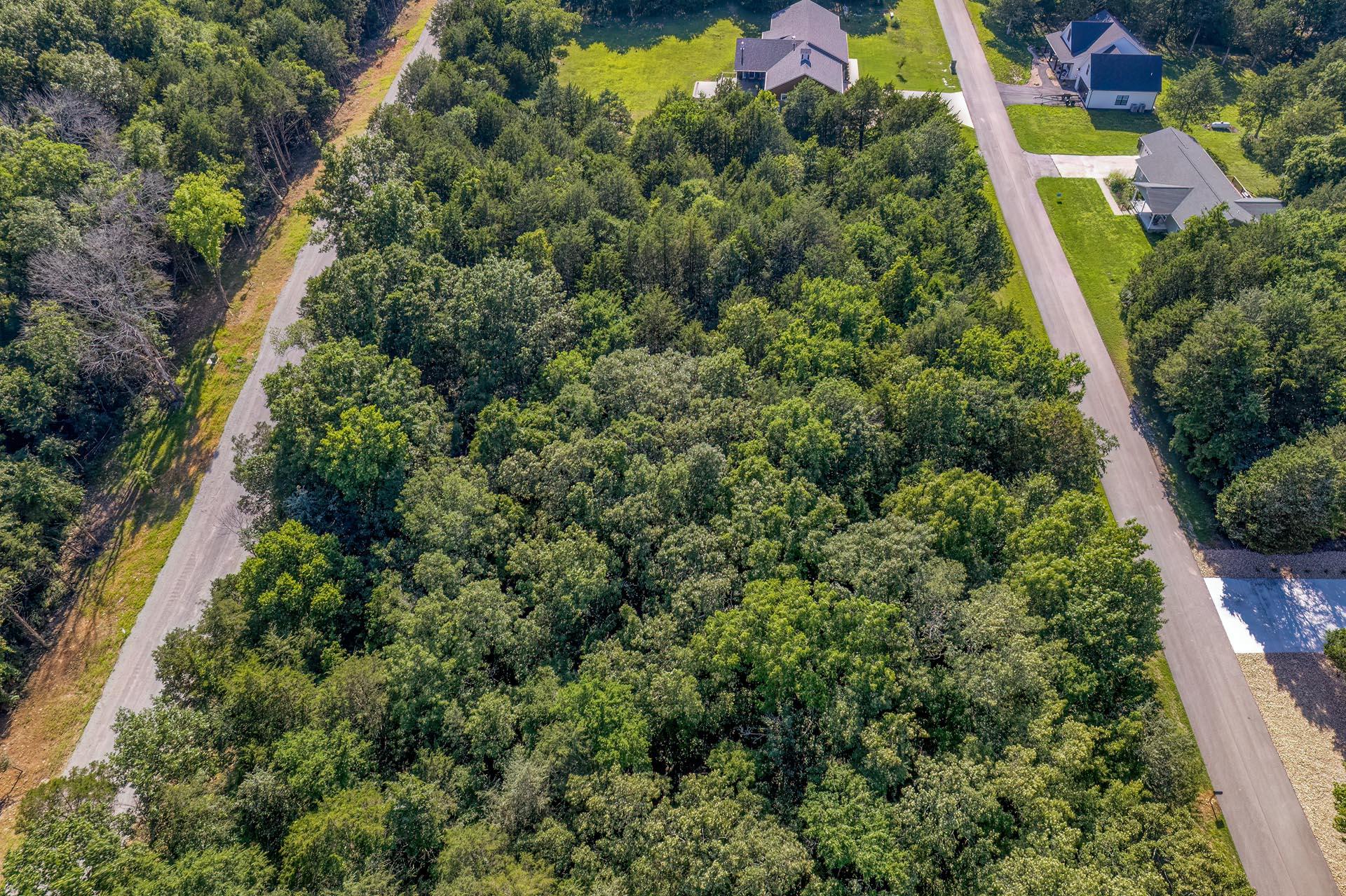 Photo 15 - Land for sale – 000  Green Cypress/ Eagle Pt Lt 87 Lane  Shell Knob, MO