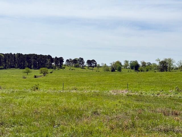 Photo 69 - Residential for sale – 786  County Road 434   Mountain View, MO