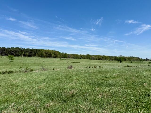 Photo 73 - Residential for sale – 786  County Road 434   Mountain View, MO