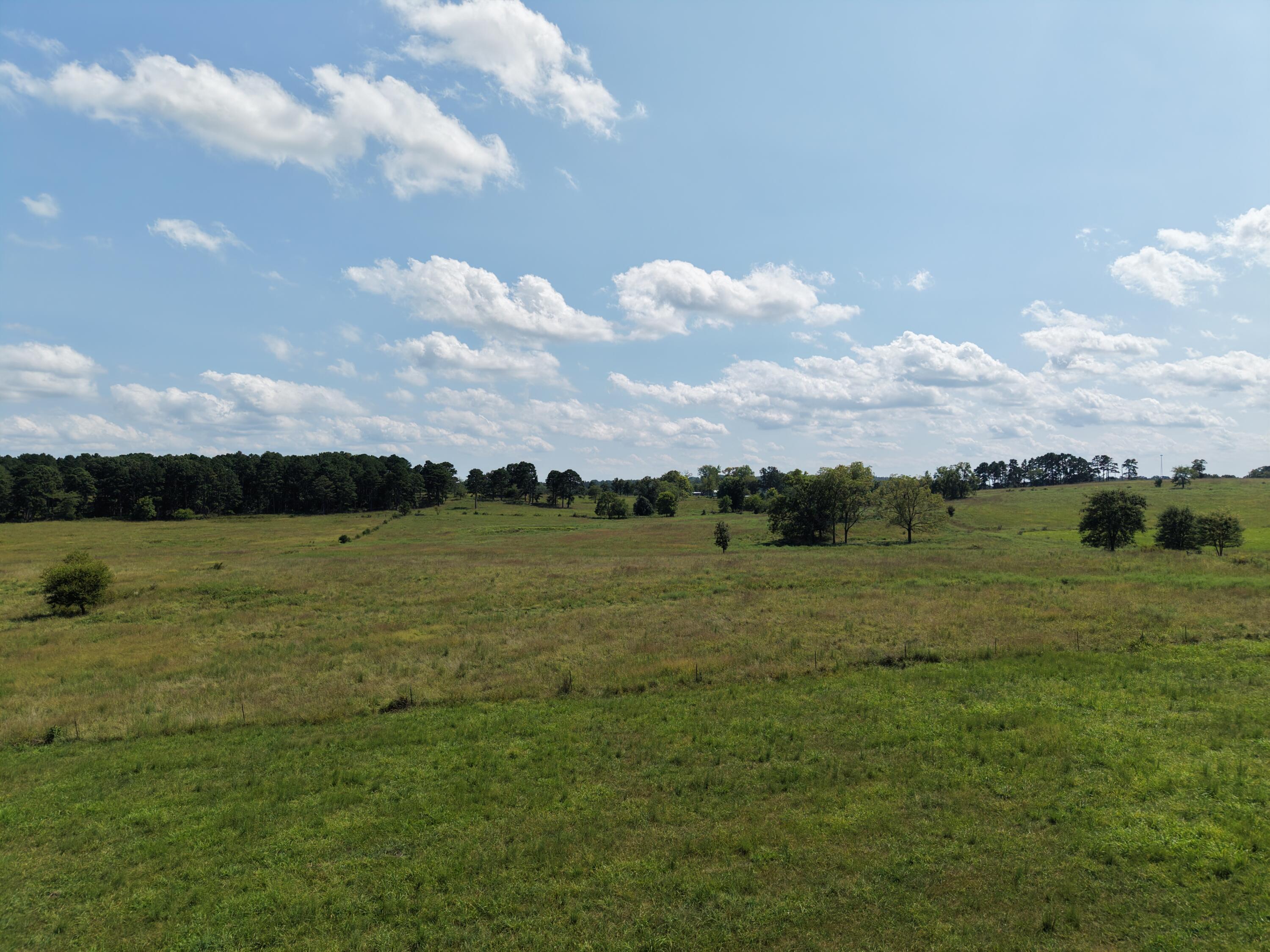 Photo 82 - Residential for sale – 786  County Road 434   Mountain View, MO