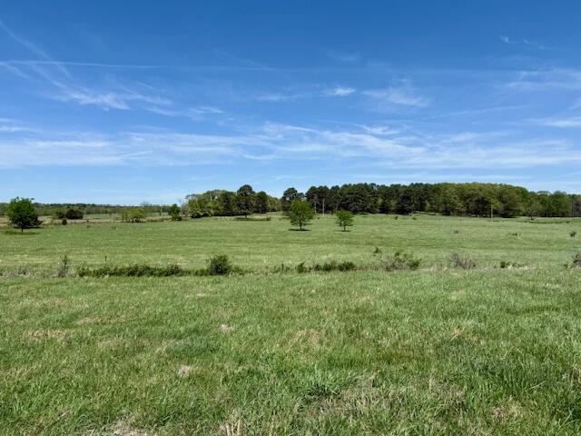 Photo 74 - Residential for sale – 786  County Road 434   Mountain View, MO