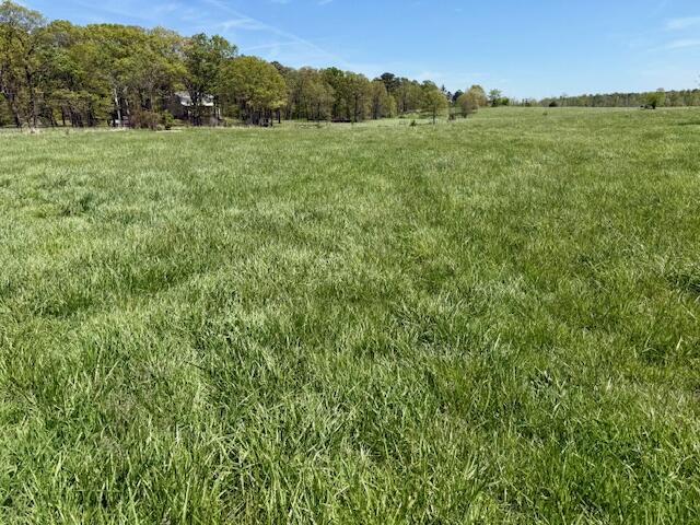 Photo 55 - Residential for sale – 786  County Road 434   Mountain View, MO