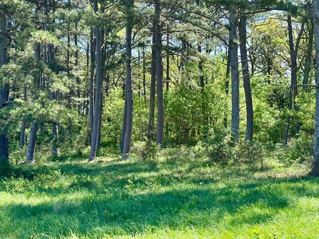 Photo 79 - Residential for sale – 786  County Road 434   Mountain View, MO