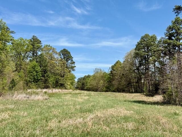 Photo 68 - Residential for sale – 786  County Road 434   Mountain View, MO
