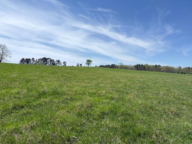 Photo 76 - Residential for sale – 786  County Road 434   Mountain View, MO