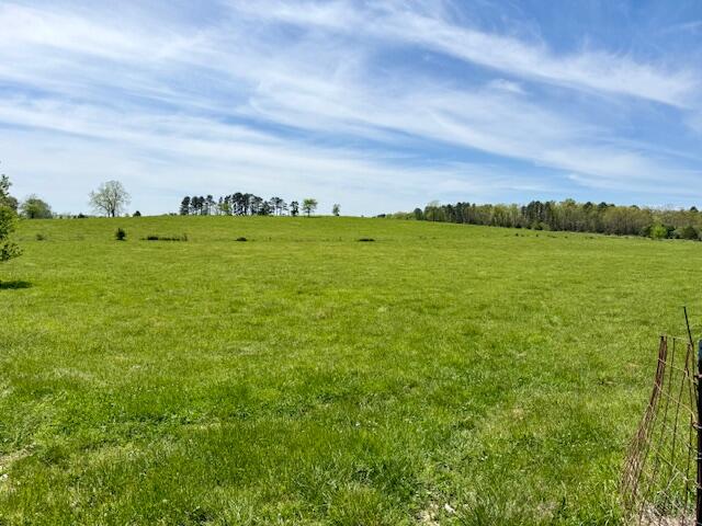 Photo 72 - Residential for sale – 786  County Road 434   Mountain View, MO
