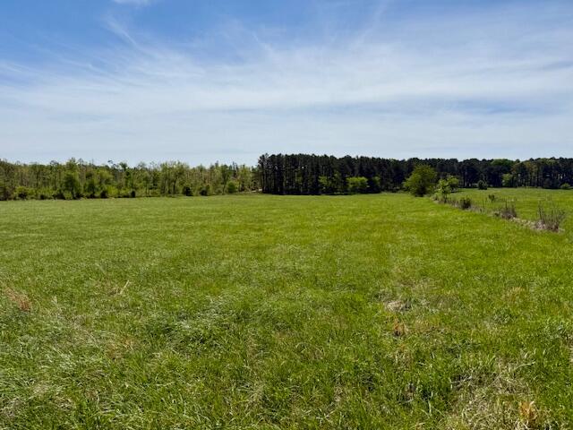 Photo 66 - Residential for sale – 786  County Road 434   Mountain View, MO
