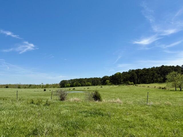 Photo 77 - Residential for sale – 786  County Road 434   Mountain View, MO