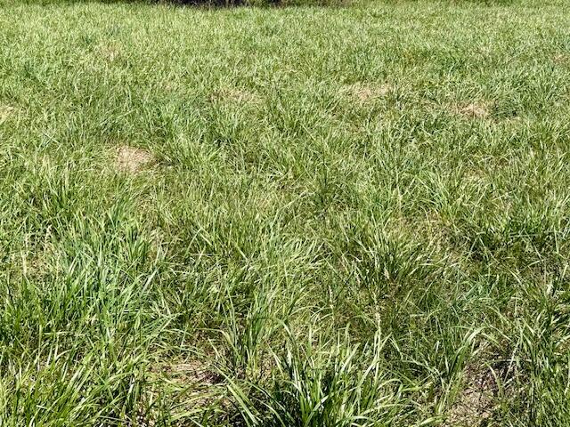 Photo 57 - Residential for sale – 786  County Road 434   Mountain View, MO