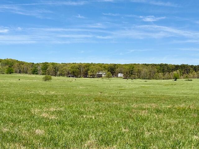 Photo 63 - Residential for sale – 786  County Road 434   Mountain View, MO